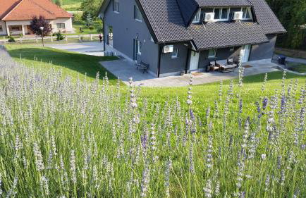 Apartmani Sanja - Foto 61