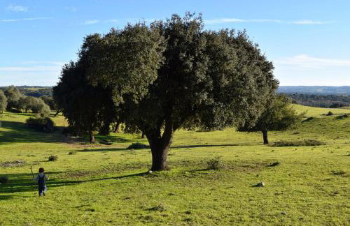 Herdade do Vidigal - Photo 47