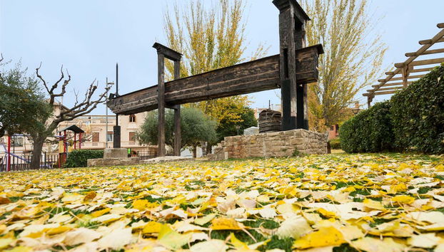 Stroll through Terrell Park