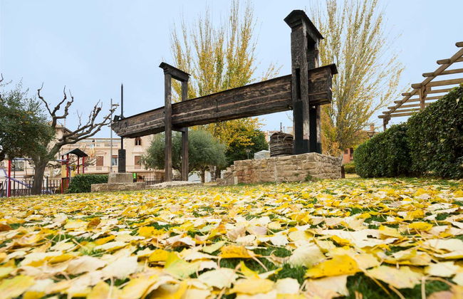 Borjas Blancas Guided Tour - Photo 4