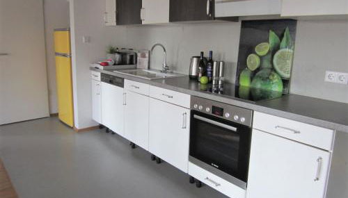 K9 Wohnungen - Photo 4, stove, dishwasher