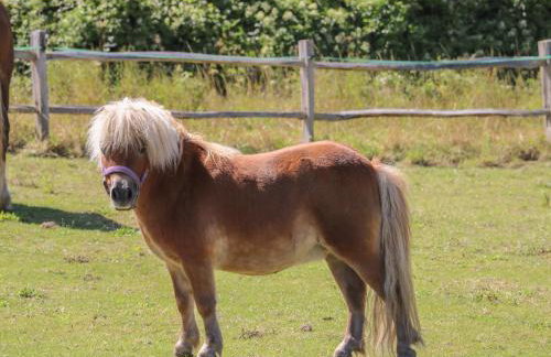 1 Paythorne Farm Cottages - Foto 21