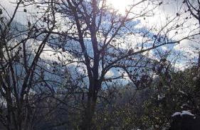 Seeberhof - Urlaub am Bauernhof - Foto 46