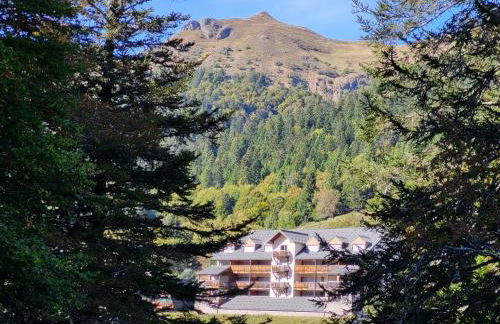 Résidence récente au Lioran à proximité des remontées mécaniques - Photo 49