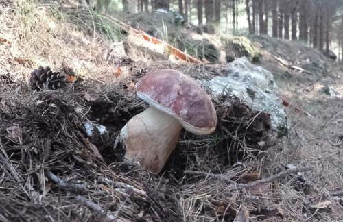 Casa Rural con encanto "Los Postigos" - Foto 116