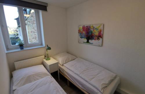 Ferienwohnungen Flussufer - Neckargemünd Altstadt - Foto 33