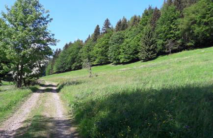 Ferienhaus Moosbachtal Thüringer Wald bei Oberhof - Foto 2