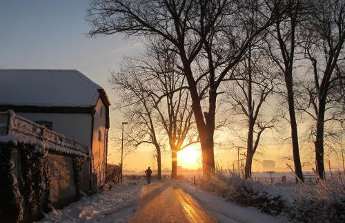 Ferienhaus Fristerhof - Foto 14