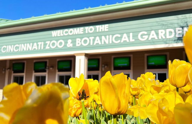 Oakley Square 3br Charmer - Total Walkability 3 Bedroom Home by RedAwning - Foto 30