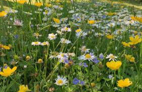 Gîte La Source - Foto 41