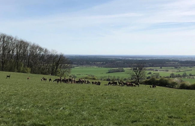 Cosy Lincs Wolds Cottage in Picturesque Tealby - Foto 17