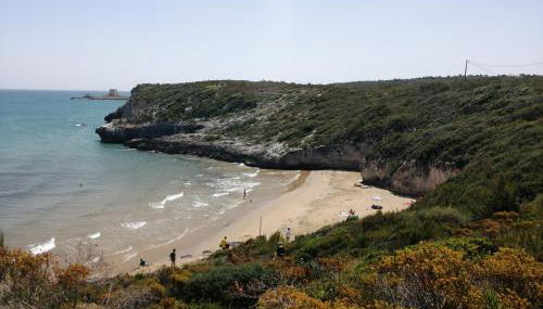 Calypso Casa - Foto 5