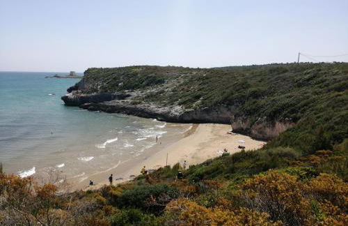 Calypso Casa - Foto 5