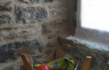 ΜΕΣΤΑ - ΠΛΑΤΕΙΑ - Foto 47