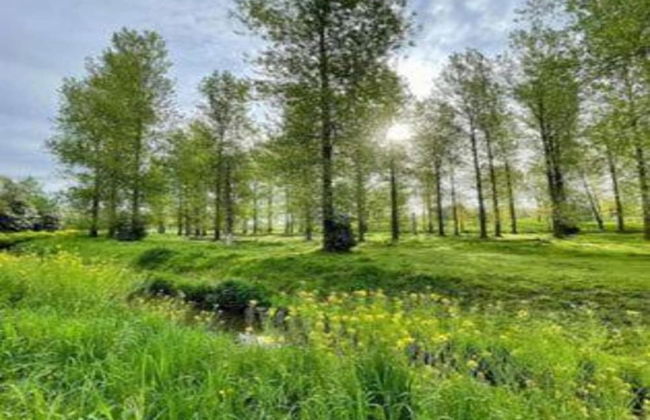 House in Former Monastery - Foto 40