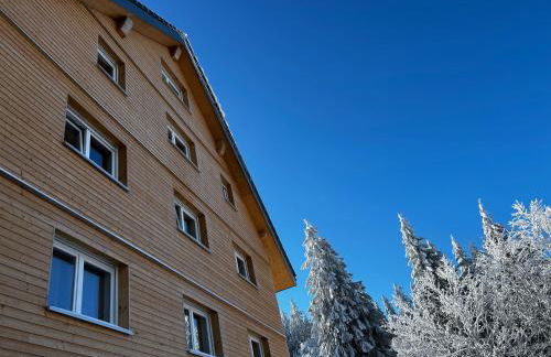 Feldberg Apartment - direkt an der Skipiste - mit Sauna - Foto 47
