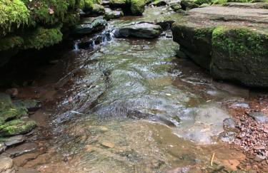 La Casa di Gino - Foto 16