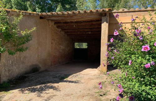 Can Carreras - Foto 23