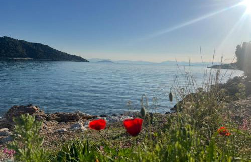 The White House - Aianteio - Foto 65