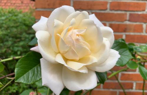 Ferienwohnung Kastanienhof, 35165 - Foto 16