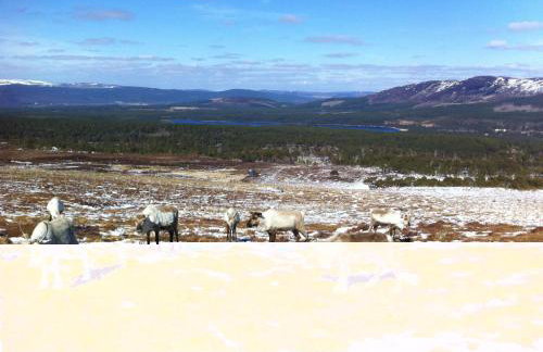 Holiday Home Lower Curr by Interhome - Foto 74