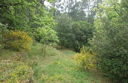 "Clair de Lune" Gîte sur 6000 m2 arborés - Foto 22