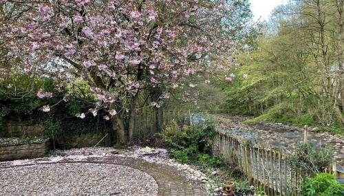 The Riverside Tailor's Retreat at Wray - Foto 4