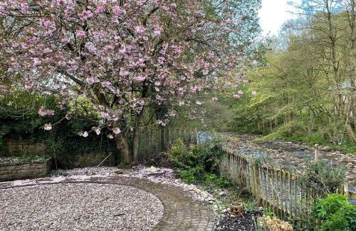 The Riverside Tailor's Retreat at Wray - Foto 4