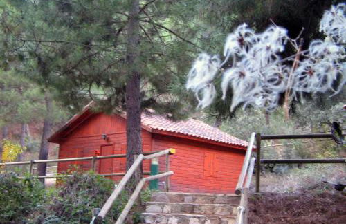 Cabañas La Toma del Agua - Foto 13