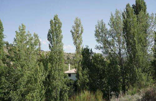 Cortijo San Roque Alojamientos Rurales - Foto 18