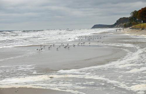 Bernsteinhaus Wohnung Usedom - Foto 12