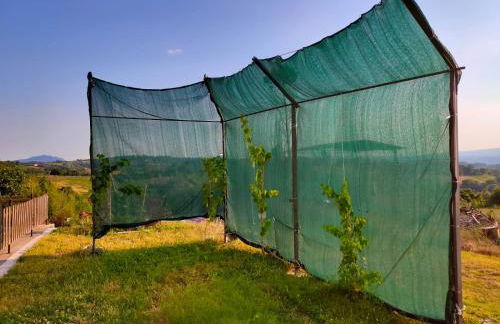 Giardino casa Selciata - Foto 31