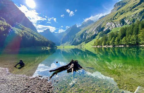 Ferienhaus Alpenpanorama Chalet - Foto 3