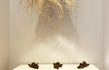 Ama de Luz - Foto 23