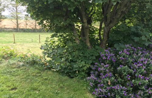 Crossgates, Rosehearty - Foto 6