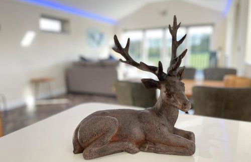 Hunters Cottage - Luxury, high end, hot hub, AC, slipper bath, couples retreat - Photo 41