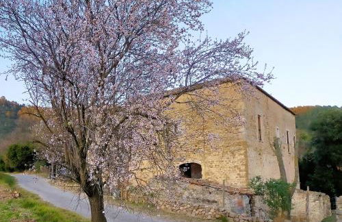 El Castell de Segueró - Foto 5