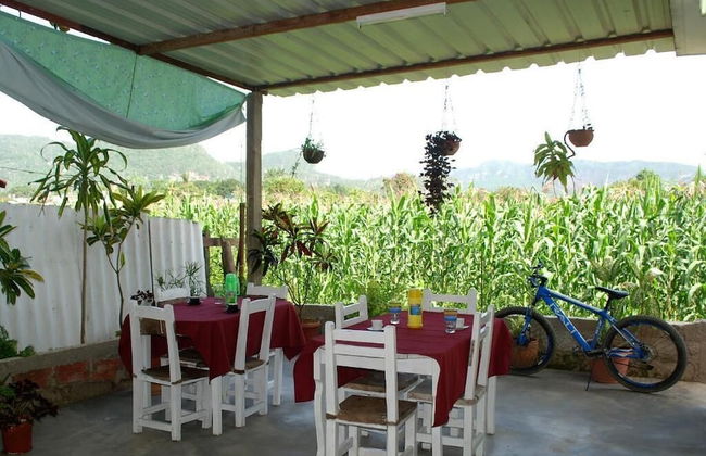 Holiday rental in Viñales with garden and terrace - Photo 18