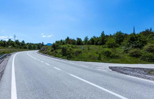 Forest Escape - Foto 51