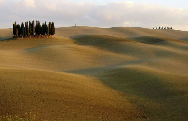Charming Tuscan Farmhouse - Foto 35
