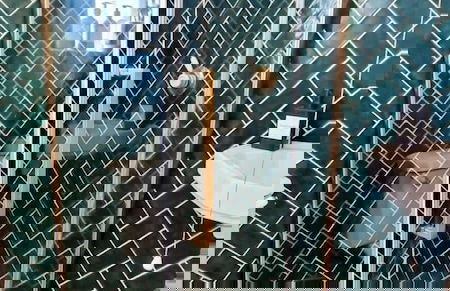 Stylish 3 Bedroom Townhouse in Brockley With Large Garden - Foto 29