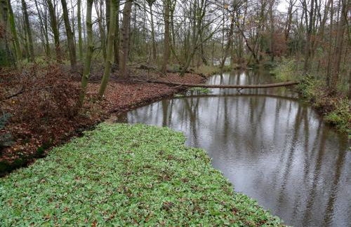 Individuell Wohnen Loft-Charakter im Innenhof - Foto 19