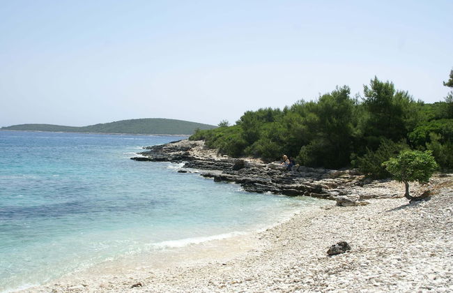 Traditional House With two Apartments - Foto 38