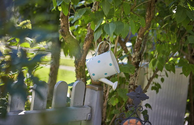 Landhaus Keil - Foto 54