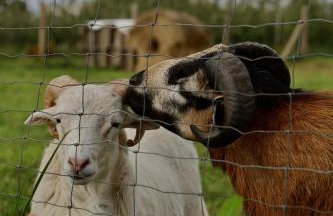 Apartamenty Wilga - spokojne miejsce z całorocznym zewnętrznym wspólnym jacuzzi, sauną i letnim basenem - Foto 67