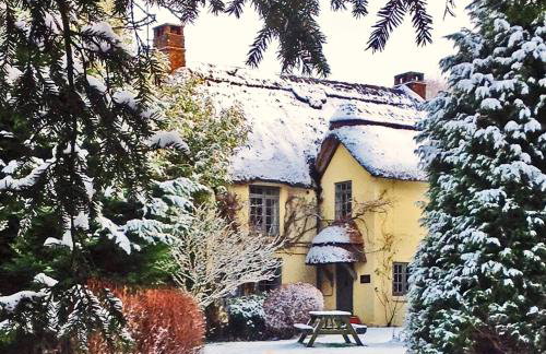 Beck Cottage, Wood Green, New Forest UK - Foto 34