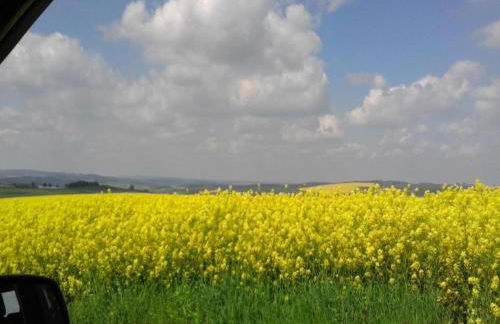 Comfortable Holiday Home in Saxony With Terrace - Foto 70