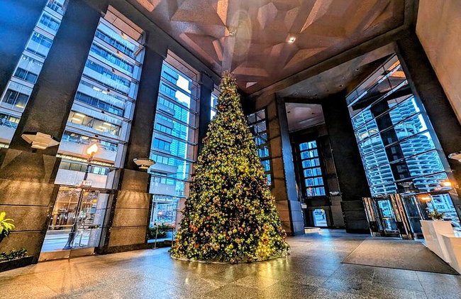 A experiência de rastreamento de árvores de Natal em Chicago nos feriados - Foto 1