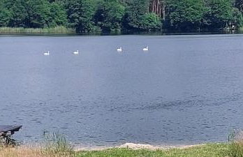 Ostoja Klocek - Foto 22