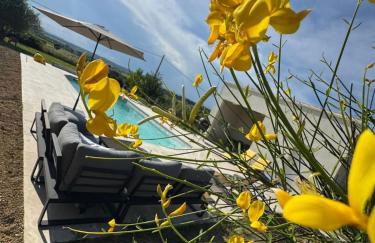 Maison Barban - Photo 49